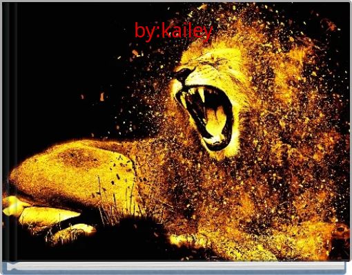 Front cover of 'by:kailey' 