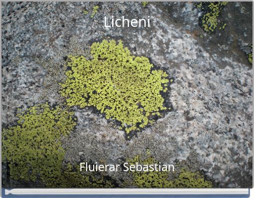 Licheni