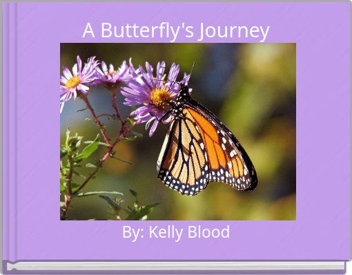 Front cover of 'A Butterfly's Journey' 