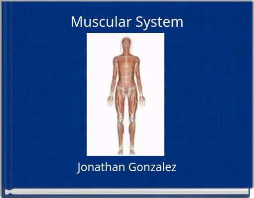 Muscular System