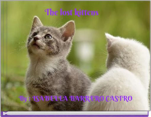 The lost kittens