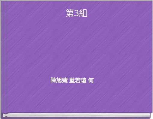 第3組