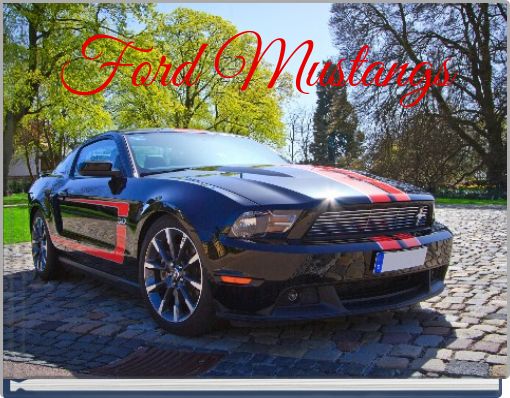 Ford Mustangs