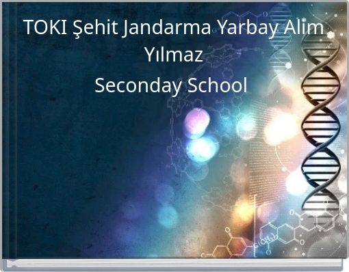TOKI Şehit Jandarma Yarbay Alim Yılmaz