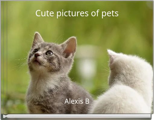 Cute pictures of pets