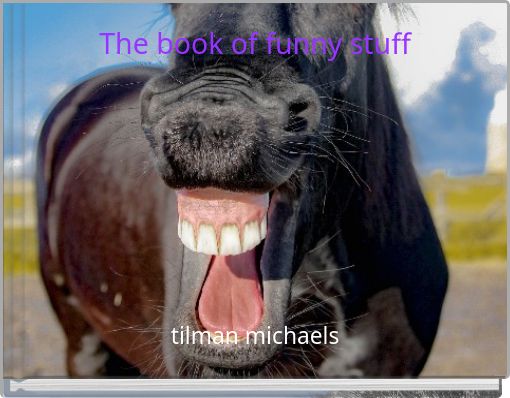 The book of funny stuff