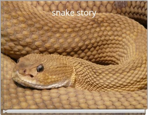 Book Cover for: snake story