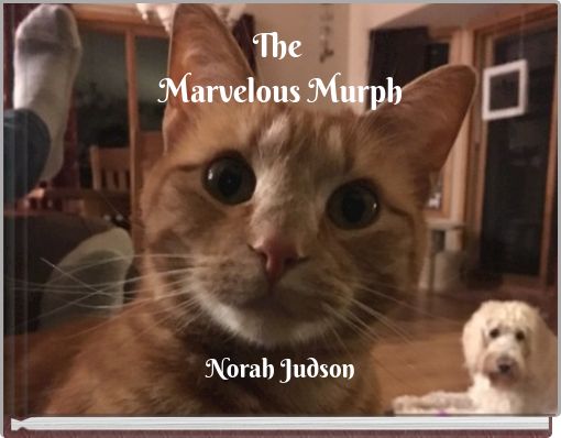 The Marvelous ﻿Murph