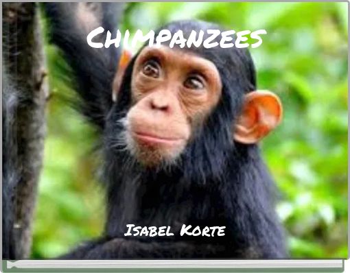 Chimpanzees