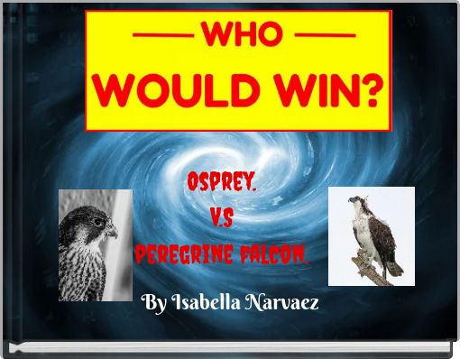 Osprey. V.S peregrine falcon.