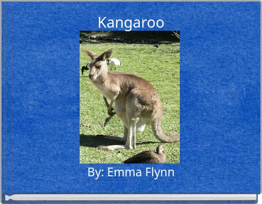Kangaroo