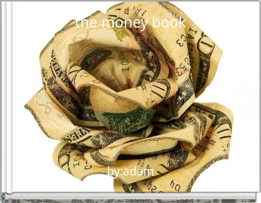 Book Cover for: the money book