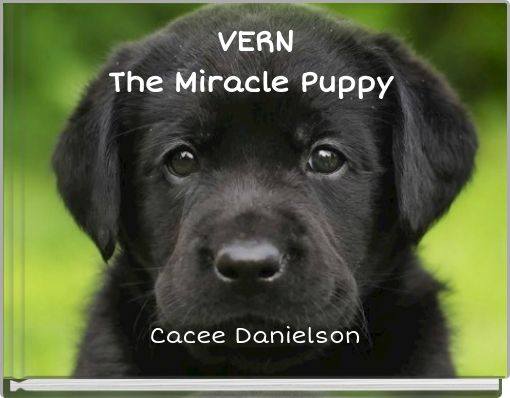 VERN The Miracle Puppy