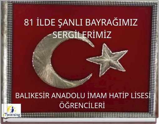 Book Cover for: 81 İLDE ŞANLI BAYRAĞIMIZ SERGİLERİMİZ