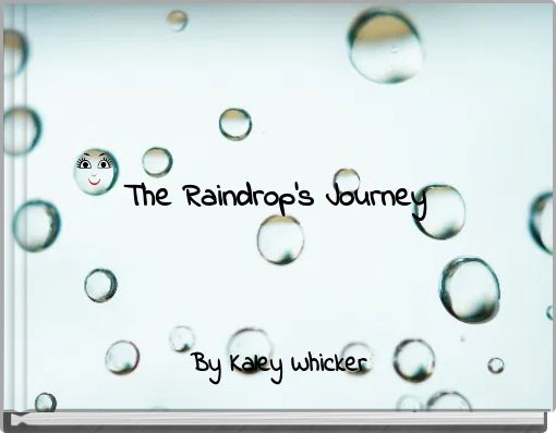 The Raindrop's Journey