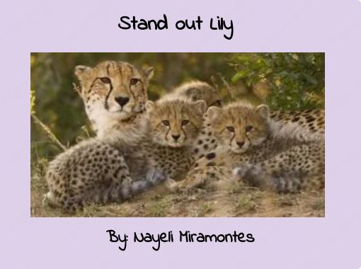 front cover