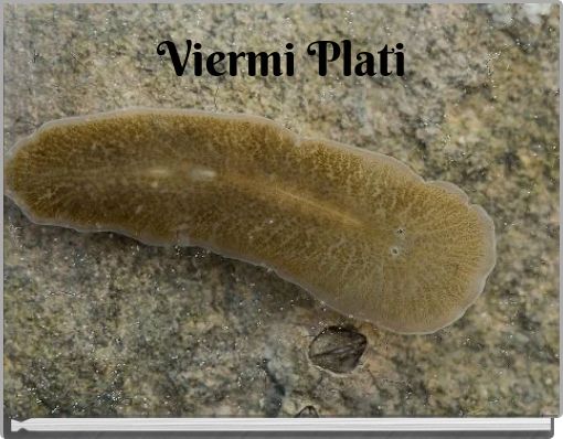 Viermi Plati