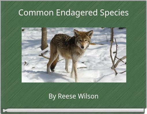 Common Endagered Species