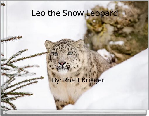 Leo the Snow Leopard