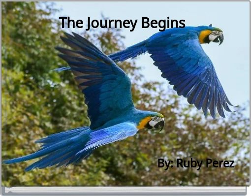 The Journey Begins