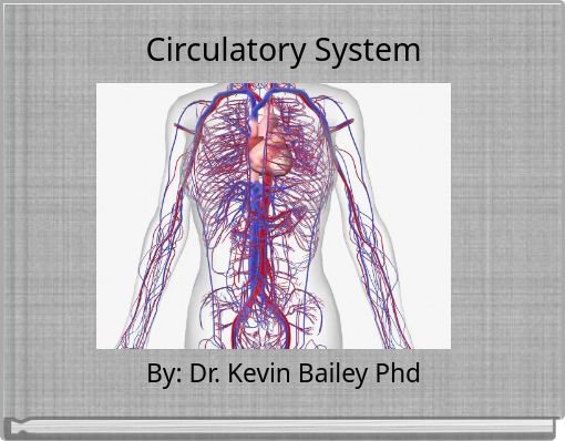 Circulatory System