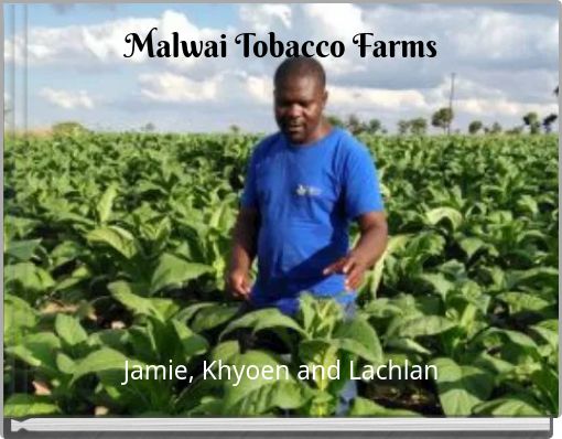 Malwai Tobacco Farms