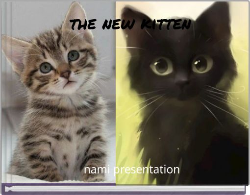 Front cover of 'the new kitten' 