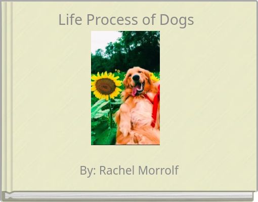 Life Process of Dogs