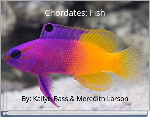 Front cover of 'Chordates: Fish' 