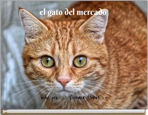 Front cover of 'el gato del mercado' 