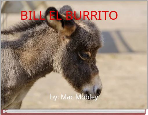 BILL EL BURRITO
