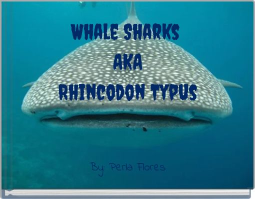 Whale Sharks AKA Rhincodon Typus