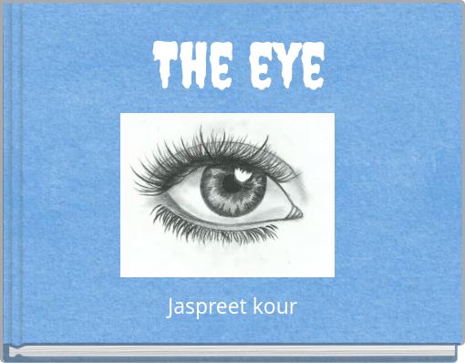 The eye