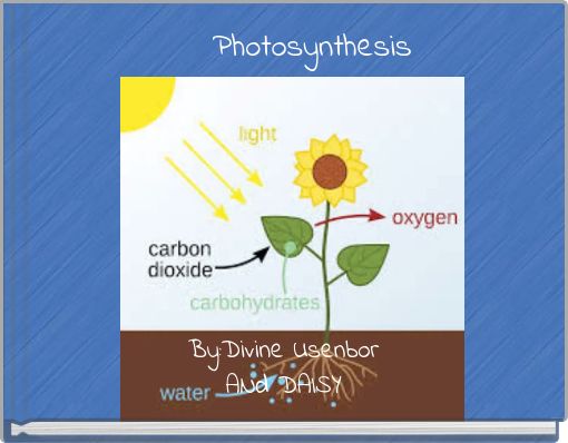 Photosynthesis