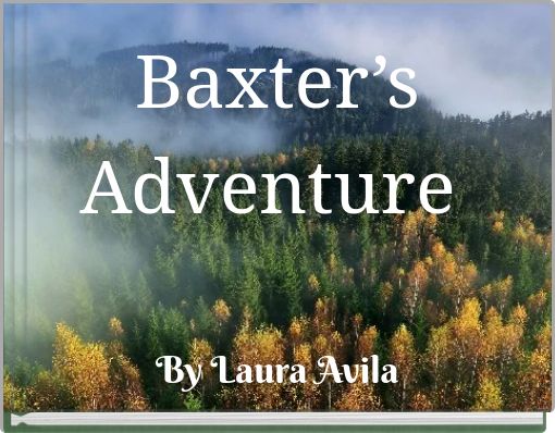 Front cover of 'Baxter’s Adventure' 