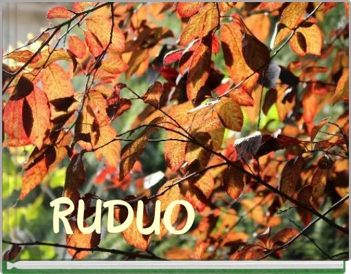 Front cover of 'RUDUO' 