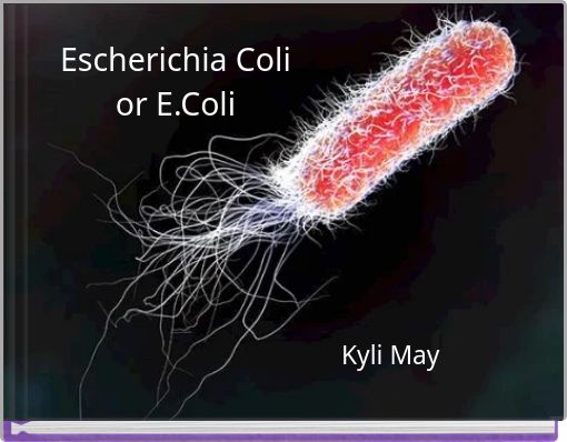 Escherichia Coli or E.Coli