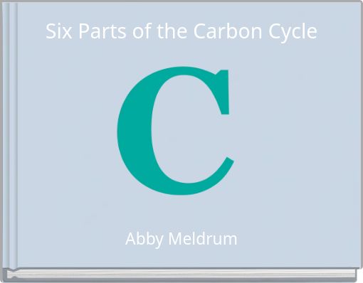 Six Parts of the Carbon Cycle