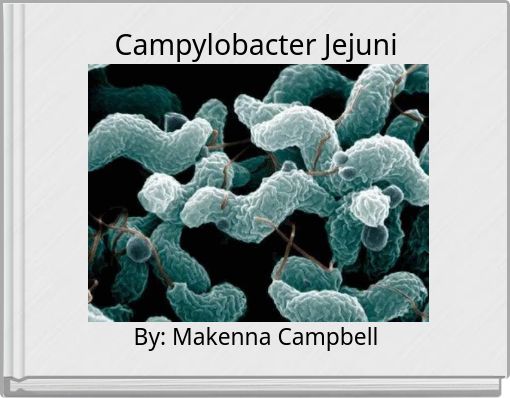 Campylobacter Jejuni