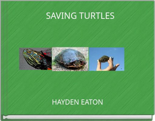 Front cover of 'SAVING TURTLES' 