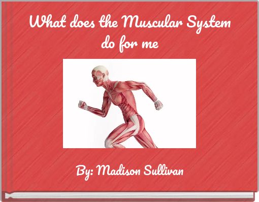 What does the Muscular System do for me