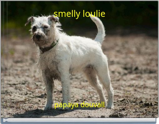 Front cover of 'smelly loulie' 