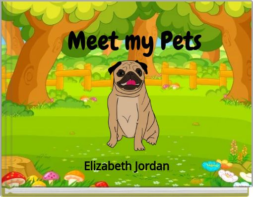 Meet my Pets