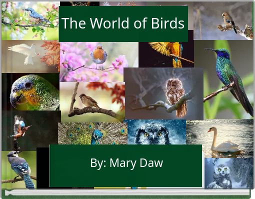 The World of Birds