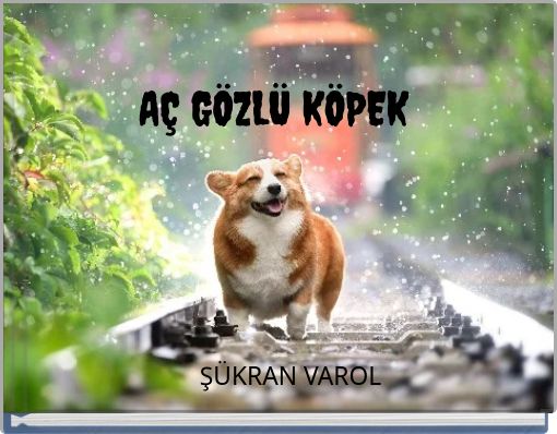 AÇ GÖZLÜ KÖPEK