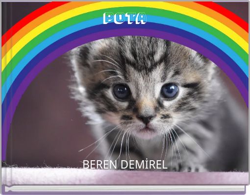 Front cover of 'pota' 