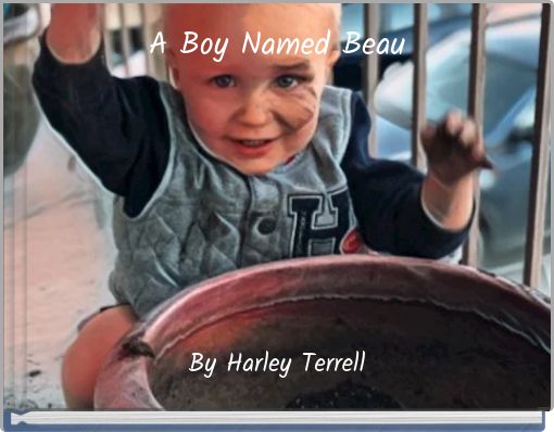 A Boy Named Beau