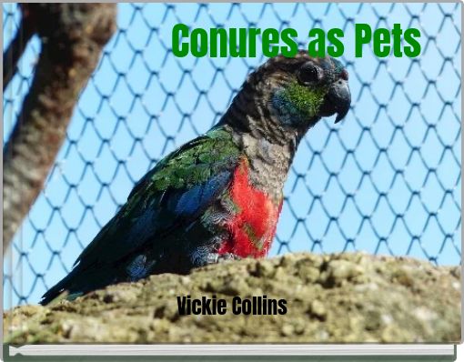 Conures as Pets