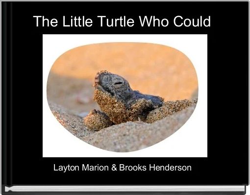 The Little Turtle Who Could 