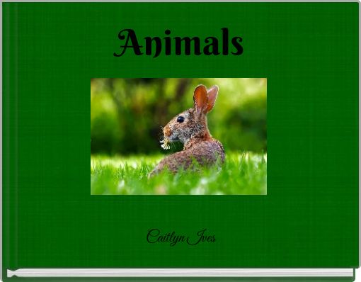 Animals